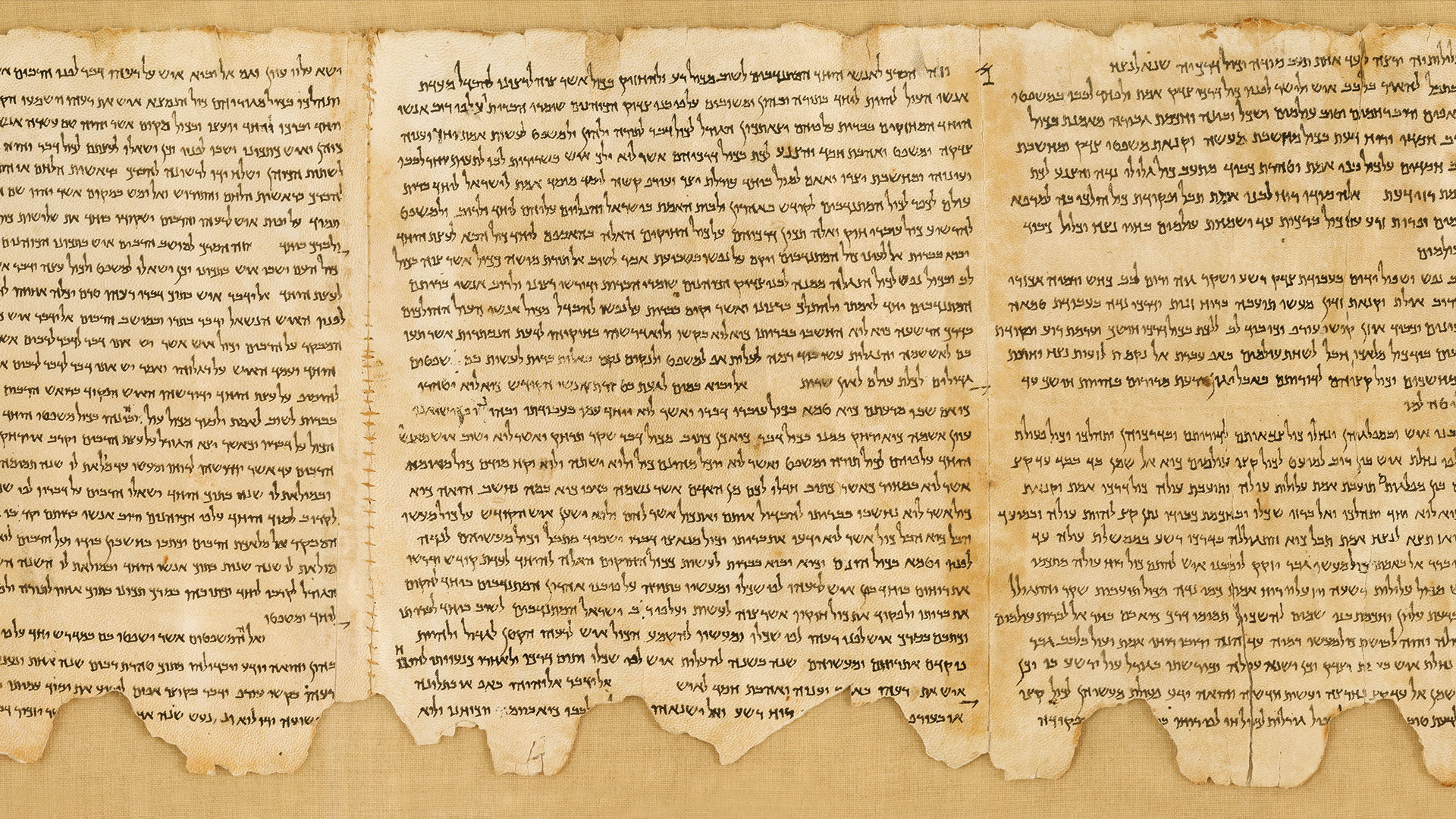 What Ancient Scrolls Teach Us about the Torah's Formation 