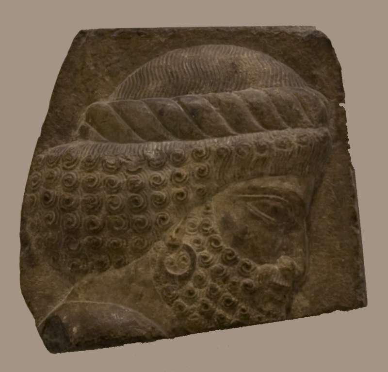 Fragment of a wall relief depicting the head of a Persian king’s guardian, from the Audience Hall (<i>apadana</i>) of Darius and Xerxes