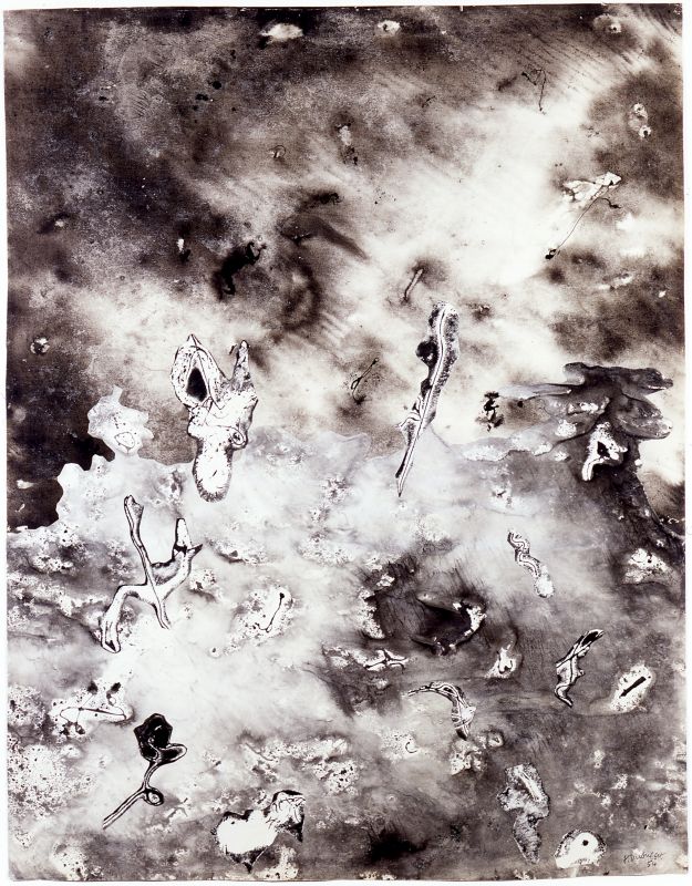 Elements in Fugitive Nature