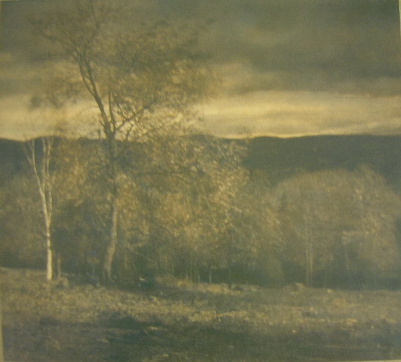 Landscape in Two Colors