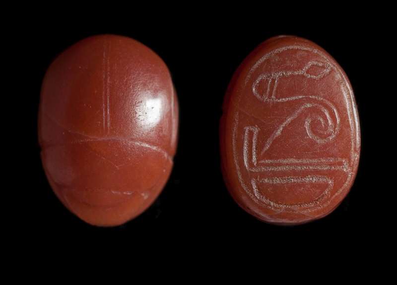 Scarab depicting a schematic red crown and a floral bud, with a 
