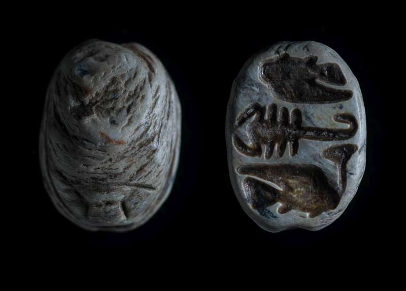 Scarab depicting two bolti fish and a scorpion