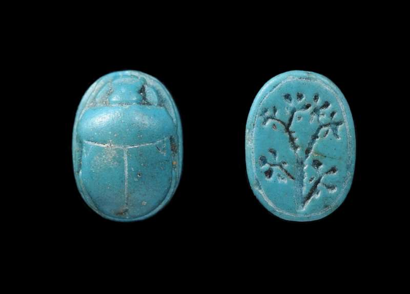 Scarab decorated with an unusual floral design