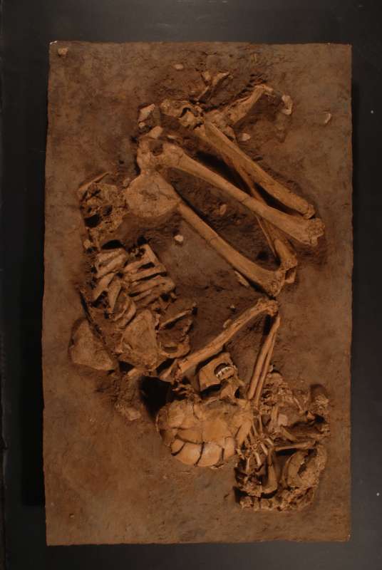 Woman buried with dog (cast)