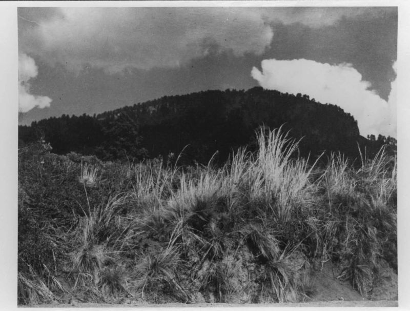 Black Mountain, White Cloud (Montana Negra, Nube Blanca)