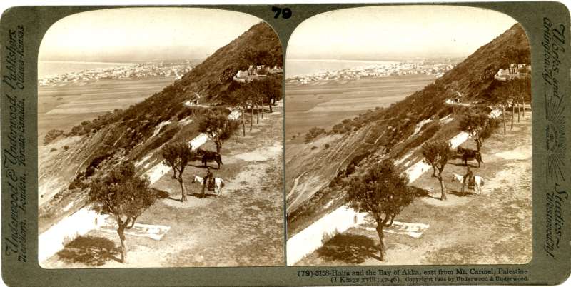 Haifa and the Bay of Akka, East from Mt. Carmel, Palestine