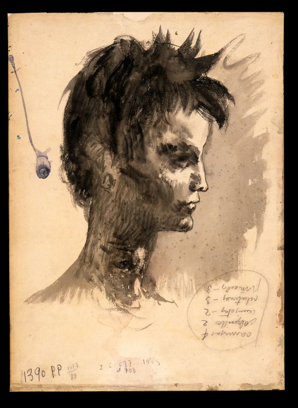 Portrait of an Adolescent