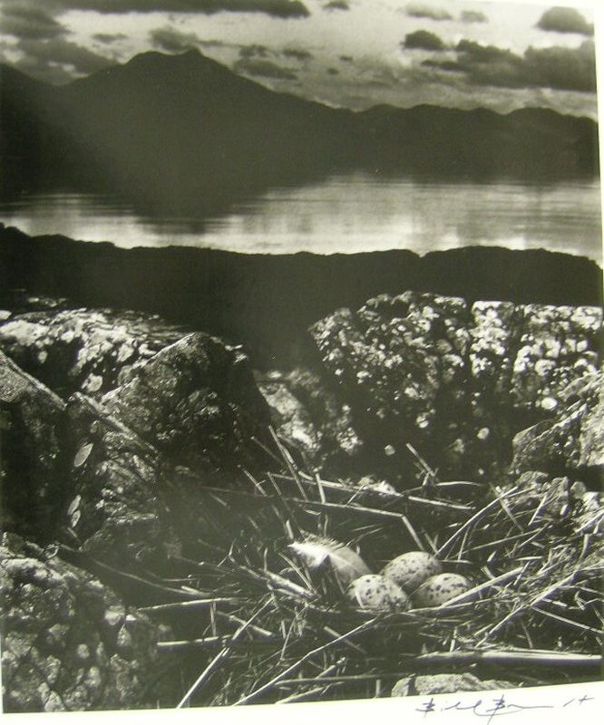 Gulls Nest, Late on Mid-Summer Night, Isle of Skye
