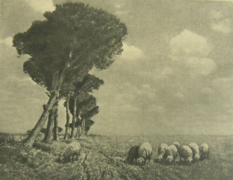 Roman Campagna