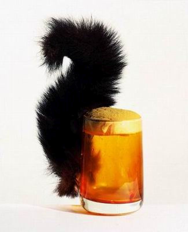 The Squirrel