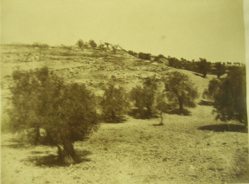 Valley of Jehosaphat