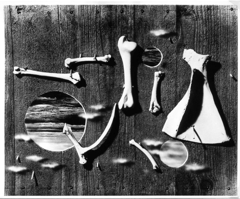 Bones with Sea