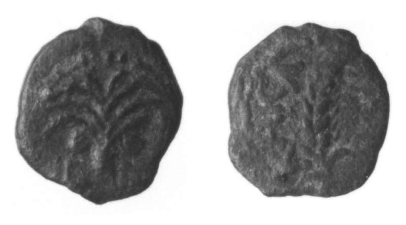 Coin of Augustus (the procurator Ambibulus)