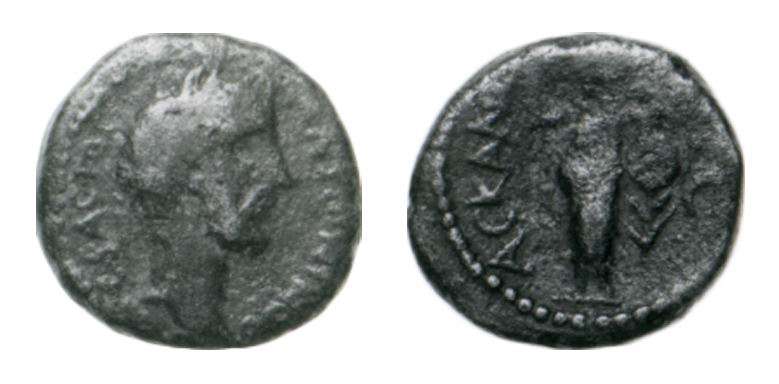 Roman Provincial coin of Antoninus Pius