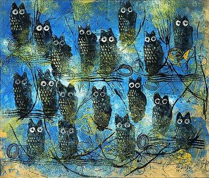 Study of Owls