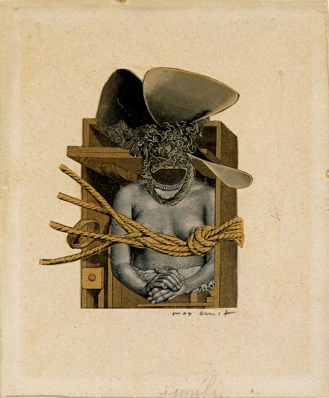 Torso of a Woman, Propeller and Rope (Torse de femme, helice et corage)