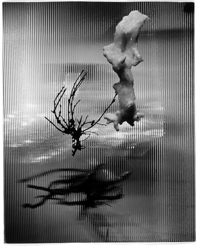 Translucent Shape