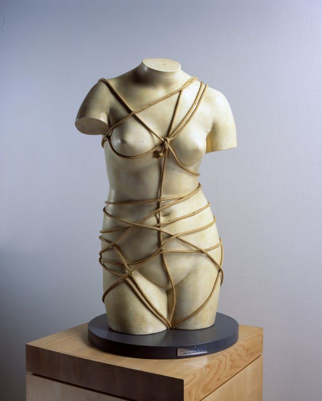 Venus Restored