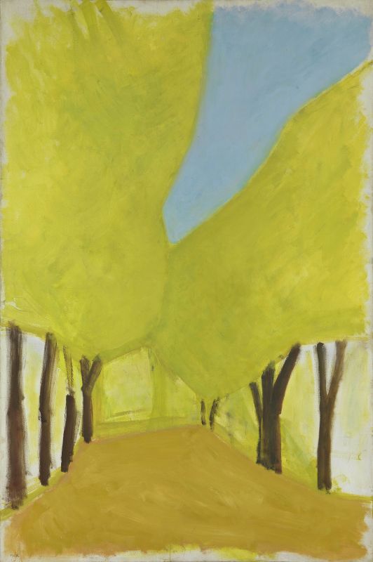 Carob Tree Boulevard