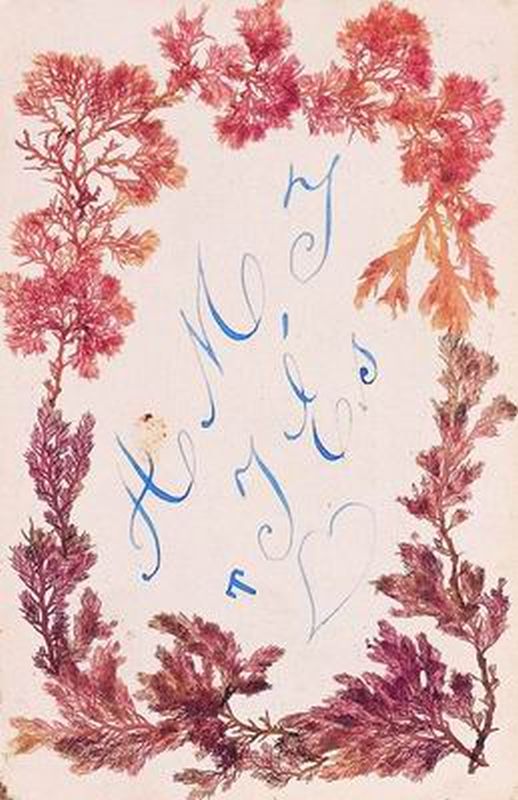 Postcard to Dr. Th. Fraenkel