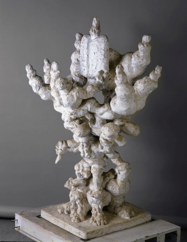 Our Tree of Life
