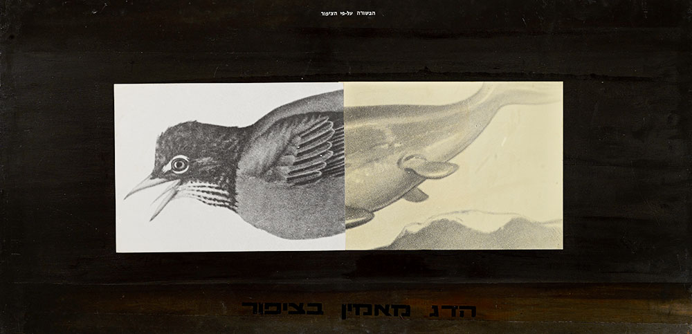מיכל נאמן, ישראלית, נולדה ב-1951 הבשורה על-פי הציפור, 1977 אקריליק, תצלומים ולטרסט על עץ לבוד מוזיאון תל אביב לאמנות